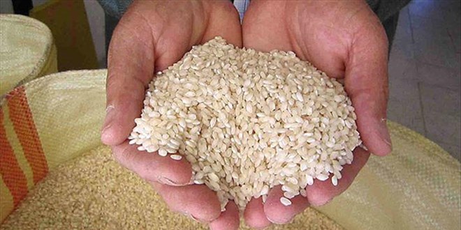 TMO'dan 'Yunan pirinci sat�l�yor' iddialar�na yan�t - Son Dakika Haber