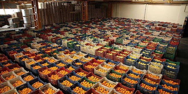 Etikete ��z�m dijital hal! 'Tarla-raf' makas�n� kapatacak form�l