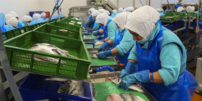 Su �r�nlerinde ilk �eyrekte 552 milyon dolarl�k ihracat - Son Dakika Haber