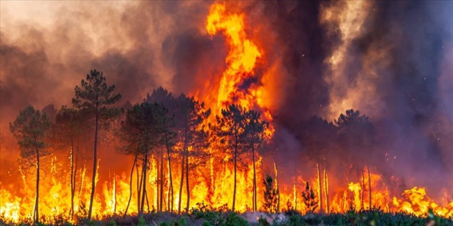 OGM Genel M�d�r� a��klad�: Yang�nlar�n %96's� insan kaynakl� - Son Dakika Haber