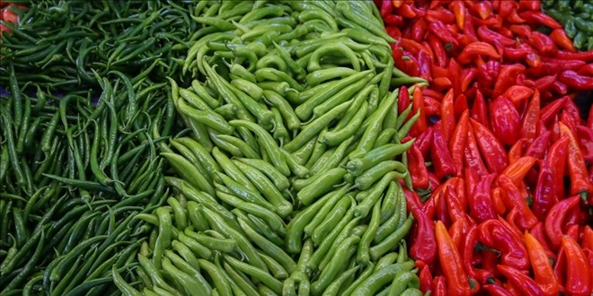 Tarlada 7, markette 200 lira: Adana'dan ��kt�, Diyarbak�r'da el yak�yor!