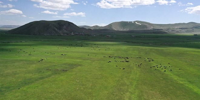 Bakanl�ktan Kars'taki 'mera yasa��' iddialar�na yalanlama