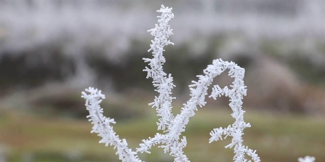 Zirai don ve ya��� bekleniyor: 44 il i�in 'sar�' uyar�