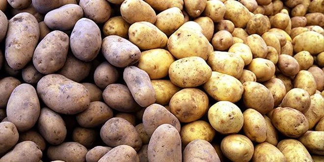 5 liradan al�p 6 kat fazlas�na sat�yorlar - Son Dakika Haber