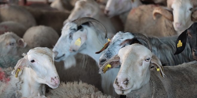 Ba��� yapt�lar, ibadet yerine getirilmedi iddias�: 10 ki�i �ikayet�i oldu