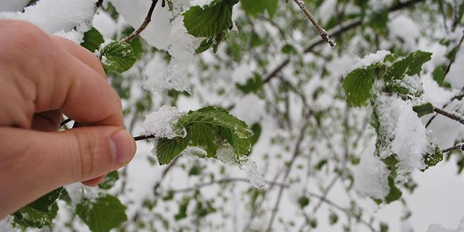 Ankara Valili�i'nden zirai don uyar�s� - Son Dakika Haber