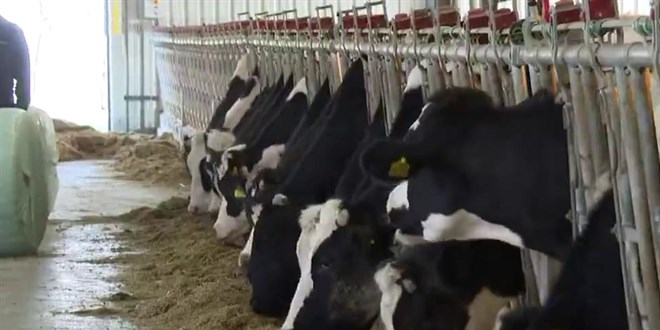 Burdur'daki �rnek modelde hedef 40 bin gen�, 40 bin �iftlik