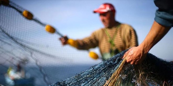 T�rkiye'de ge�en y�l 207 bin 371 bal�k��l�k denetimi yap�ld� - Son Dakika Haber