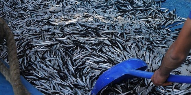 Denizlerde av yasa�� ba�l�yor - Son Dakika Haber