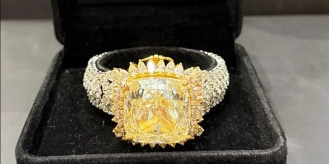 Endonezya'dan ka�ak getirilen dev p�rlantaya el konuldu: 6 tutuklama