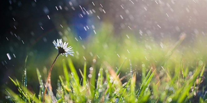 Son ya���lar tabloyu de�i�tirmedi: Kurakl�k s�r�yor - Son Dakika Haber