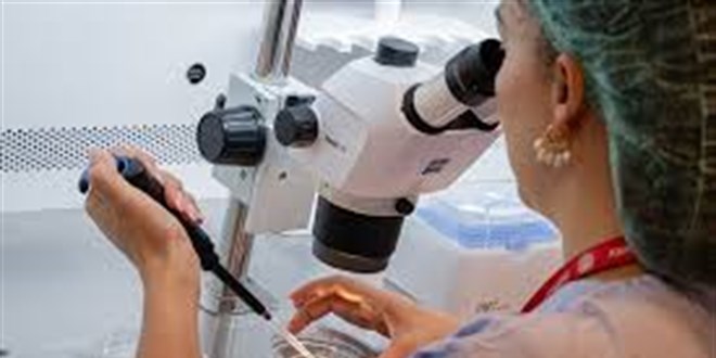 C�MER'e Yap�lan �hbar ile Bir �zel Hastanedeki Yetkisiz Embriyolog Skandal� A���a ��kar�ld� - Son Dakika Haber