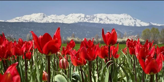 �ki mevsim ayn� foto�rafta bulu�tu