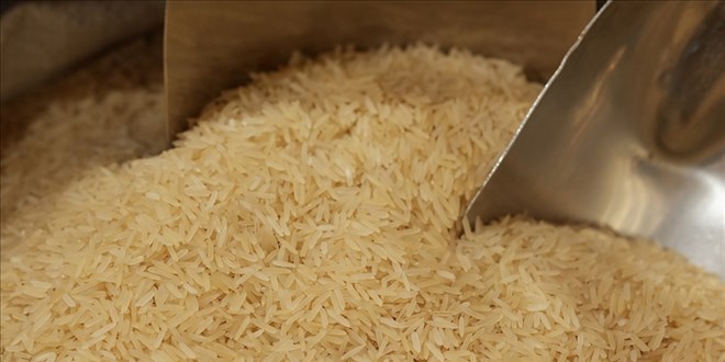 Pirin�te kedi d��k�s� g�r�len markete 52 bin 801 lira ceza - Son Dakika Haber