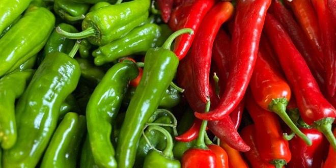 Biber ihracat�n�n y�zde 74'� Bat� Akdeniz'den - Son Dakika Haber