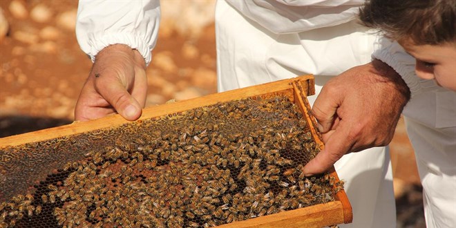 Uygunsuz bal�n piyasaya giri�i engellenecek - Son Dakika Haber