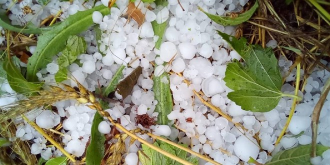 May�s ve haziranda dolu riski art�yor