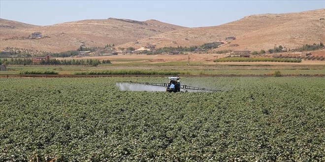 G�brede yeni d�nem: Kritik �r�nlerde vergi kald�r�ld� - Son Dakika Haber