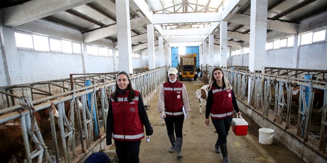 Van'da hayvanlar�n sa�l��� kad�n veterinerlere emanet - Son Dakika Haber