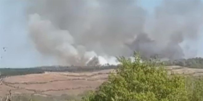 �stanbul'da ormanl�k alanda yang�n