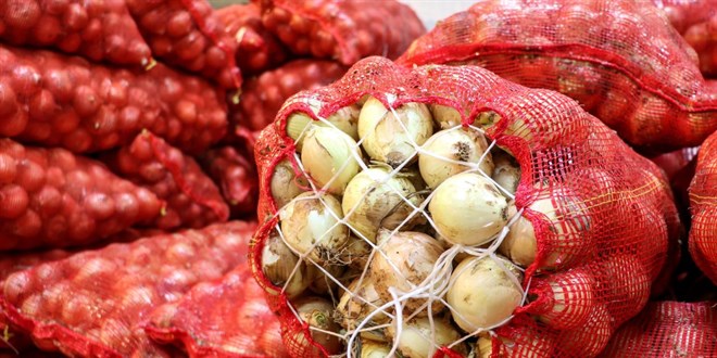 Kuru so�an ihracat� y�la h�zl� ba�lad� - Son Dakika Haber