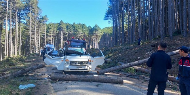 Bursa'da kesilen a�a� seyir halindeki kamyonetin �zerine devrildi: 1 �l�, 2 yaral�