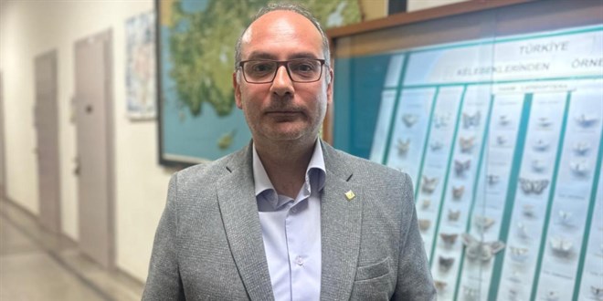 �stanbul'daki �am kese t�rt�llar� alerjik reaksiyonlara neden olabiliyor