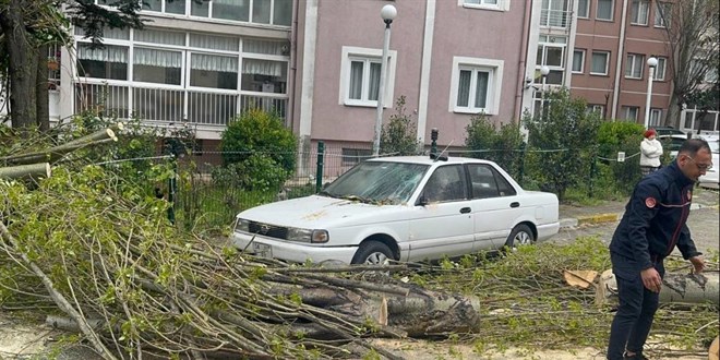 �stanbul'da �iddetli r�zgar nedeniyle a�a� devrildi - Son Dakika Haber