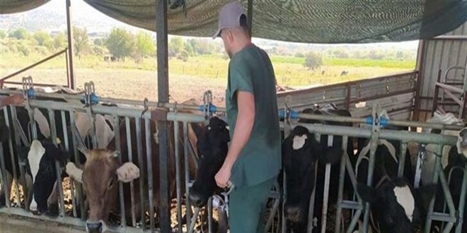Ayd�n'da �ap hastal���: 17 mahallede karantina tedbirleri al�nd� - Son Dakika Haber