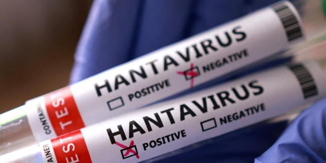 Hantavir�s� nedeniyle karantinadaki kruvaziyer gemisi Tenerife'ye ula��yor - Son Dakika Haber