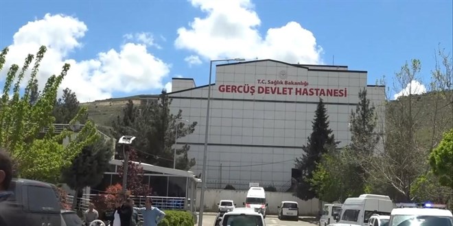 Piknikte akrep pani�i: Kad�n hastanelik oldu
