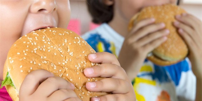 T�rkiye'nin 'h�zl�' favorileri belli oldu: Zirvede hamburger ve �ikolata var - Son Dakika Haber
