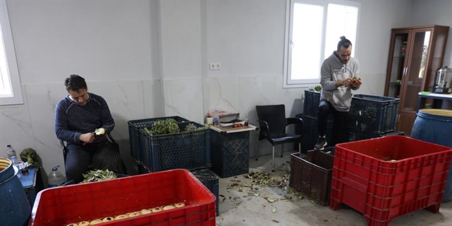 Asgari �cretin 4 kat� kazand�r�yor: Hasat ba�lad�, �stanbul'dan gelen var - Son Dakika Haber