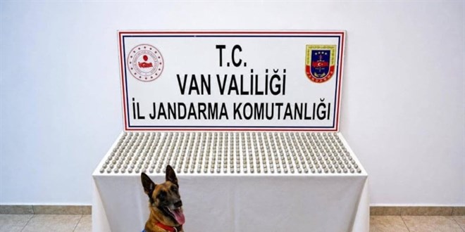 Van'da 8 �ranl�'n�n midesinden esrar ��kt� - Son Dakika Haber