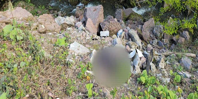 D�zce'de ormanl�k alanda ceset bulunmas�na ili�kin 1 tutuklama