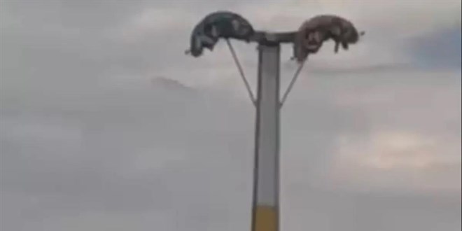 Bayram e�lencesi kabusa d�nd�. Metrelerce y�ksekte ba� a�a�� kald�lar