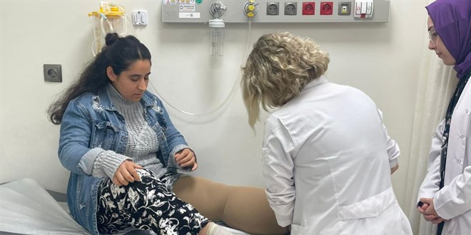 �stanbul'daki fil hastas� �ifay� �ehir hastanesinde buldu