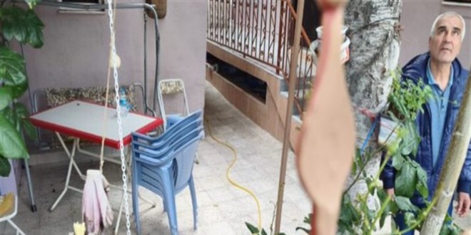 Kiraz toplarken demir korkulu�un �zerine d���p �ld�