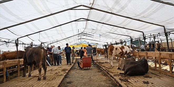 '1 milyon lira zarar ettim, bu sezon tam bir hayal k�r�kl���'