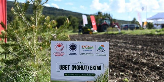 �niversite kamp�s�nde ilk kez mercimek ve nohut ekildi - Son Dakika Haber