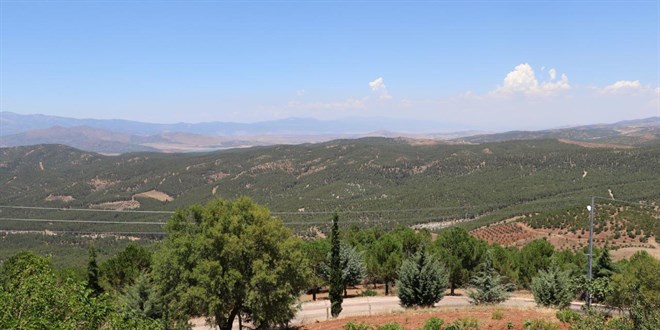Kilis'te ormanl�k alanlara giri� yasakland� - Son Dakika Haber