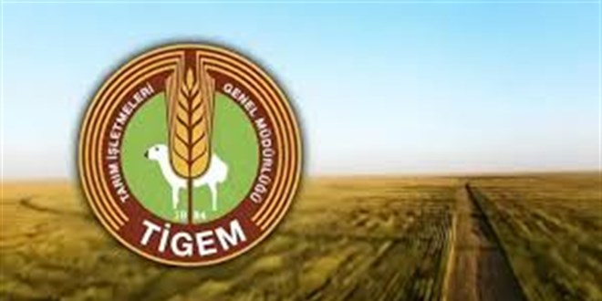 T�GEM, 12 �e�it ata tohumunu sertifikal� �retiyor