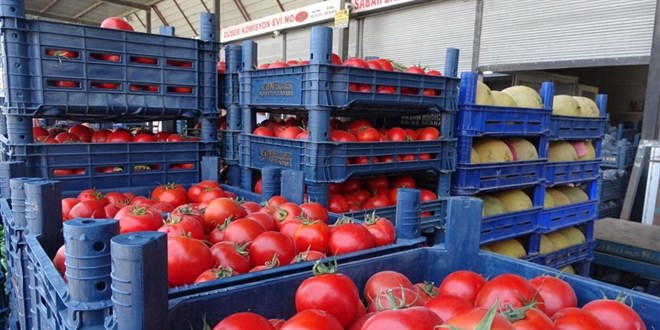 Sebze halindeki domatesin fiyat� 15 TL'ye d��t� - Son Dakika Haber