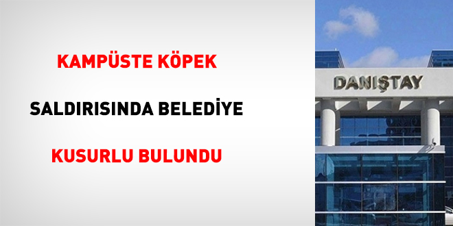 Kamp�ste k�pek sald�r�s�nda belediye kusurlu bulundu - Son Dakika Haber