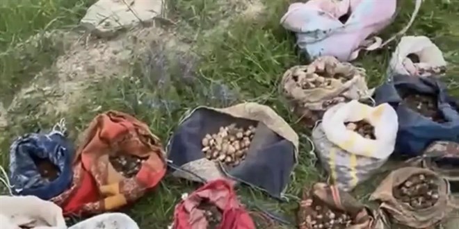 �zinsiz salep toplayan 10 ki�iye 6 milyon 992 bin TL ceza - Son Dakika Haber