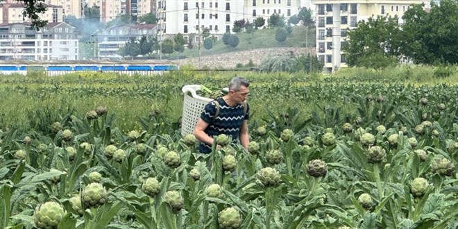 Milyonlarca liral�k konutlar�n aras�nda tar�msal �retim m�cadelesi