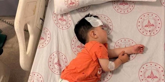 �anl�urfa'daki k�pek sald�r�s� olay�na M�lkiye M�fetti�i g�revlendirildi