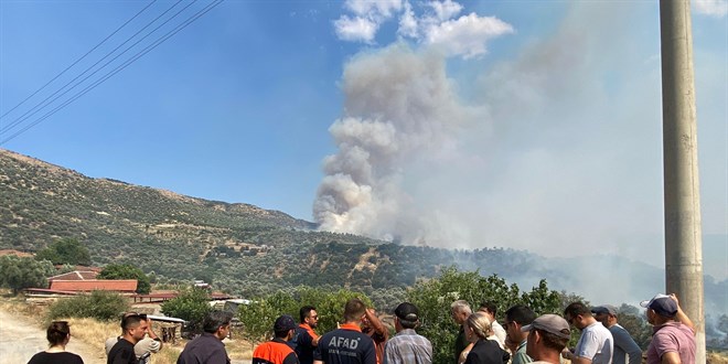 Ayd�n'da zeytinlik ve otluk alanda yang�n: 20 ev tahliye edildi