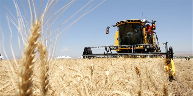 T�rkiye'den 5,8 milyar dolarl�k hububat ve bakliyat ihracat�