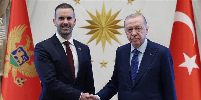 Cumhurba�kan� Erdo�an, Karada� Ba�bakan� Spajic'i kabul etti